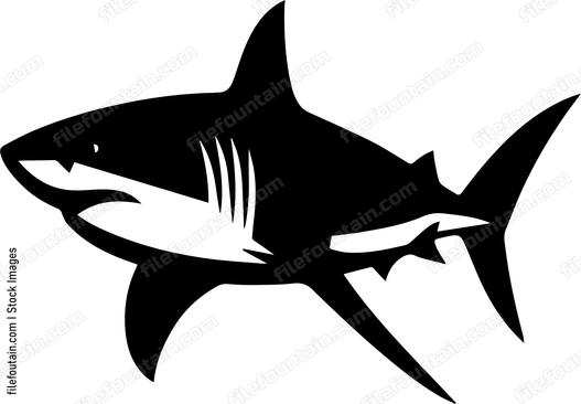 Great White Shark