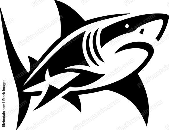 Great White Shark
