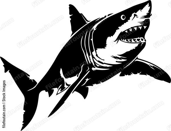 Great White Shark Design