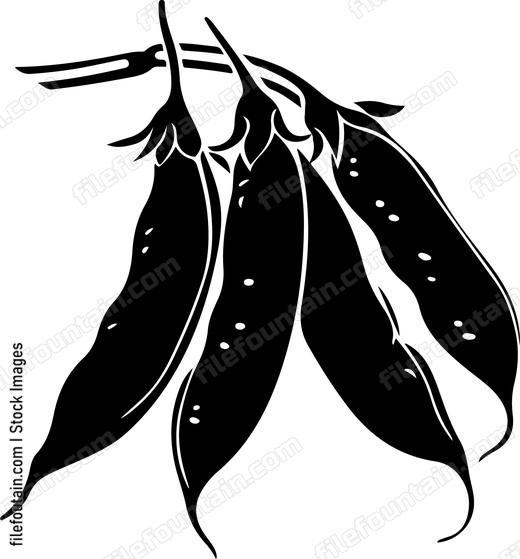 Green Beans