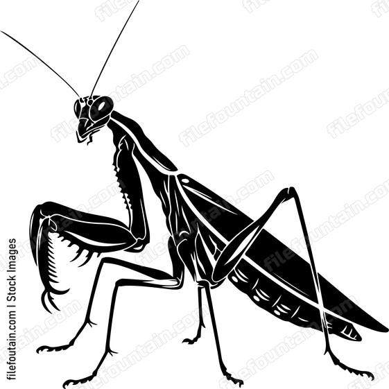 Green Mantis