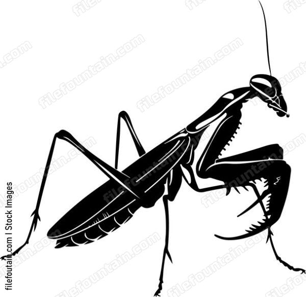 Green Mantis