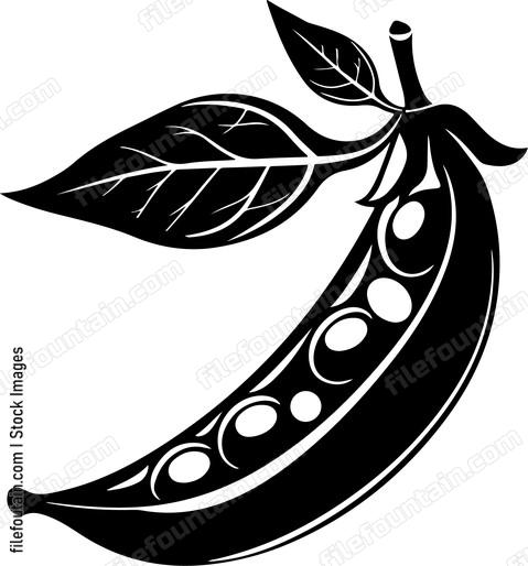 Green Pea Pod