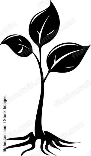 Green Sprout