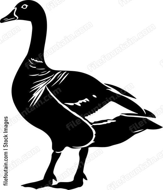 Grey Goose