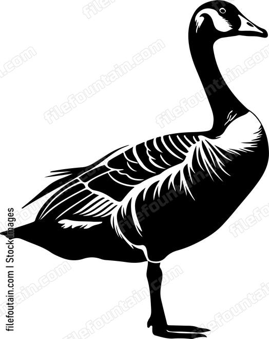Grey Goose