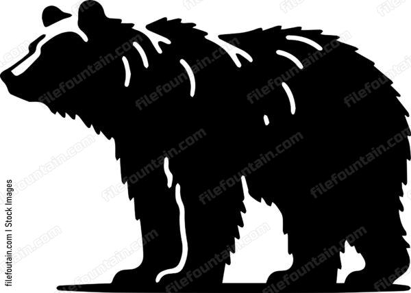 Grizzly Bear
