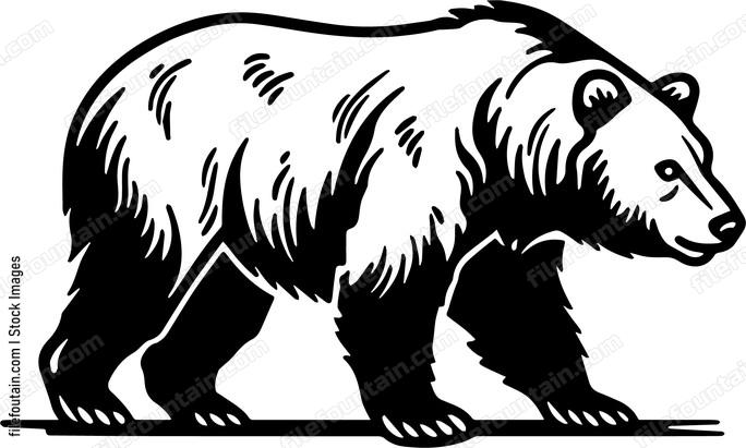 Grizzly Bear
