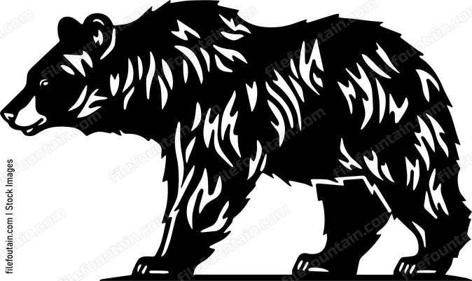 Grizzly Bear