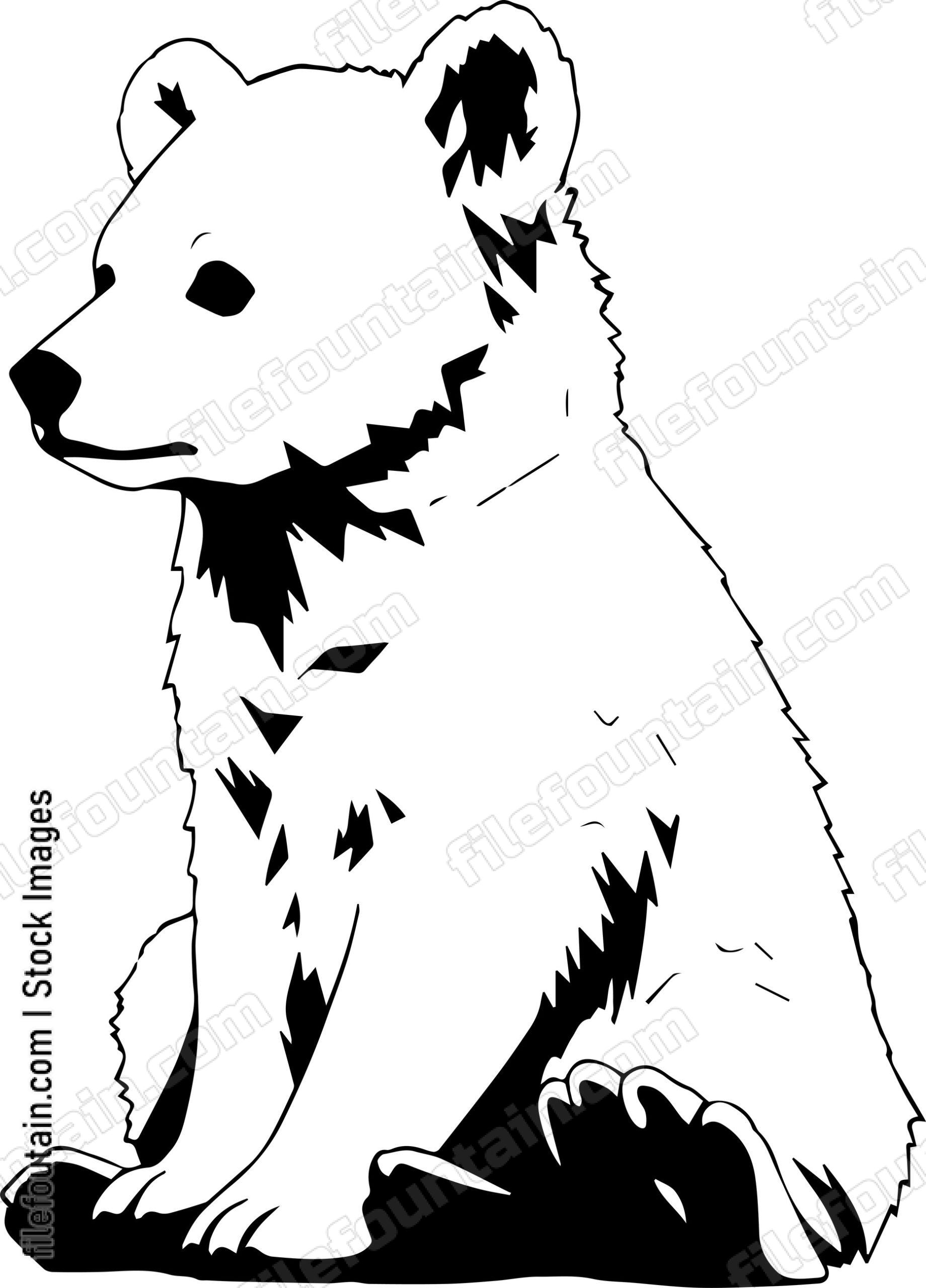 Grizzly Bear