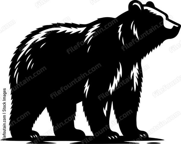 Grizzly Bear