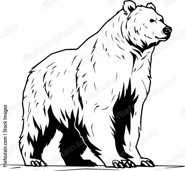 Grizzly Bear