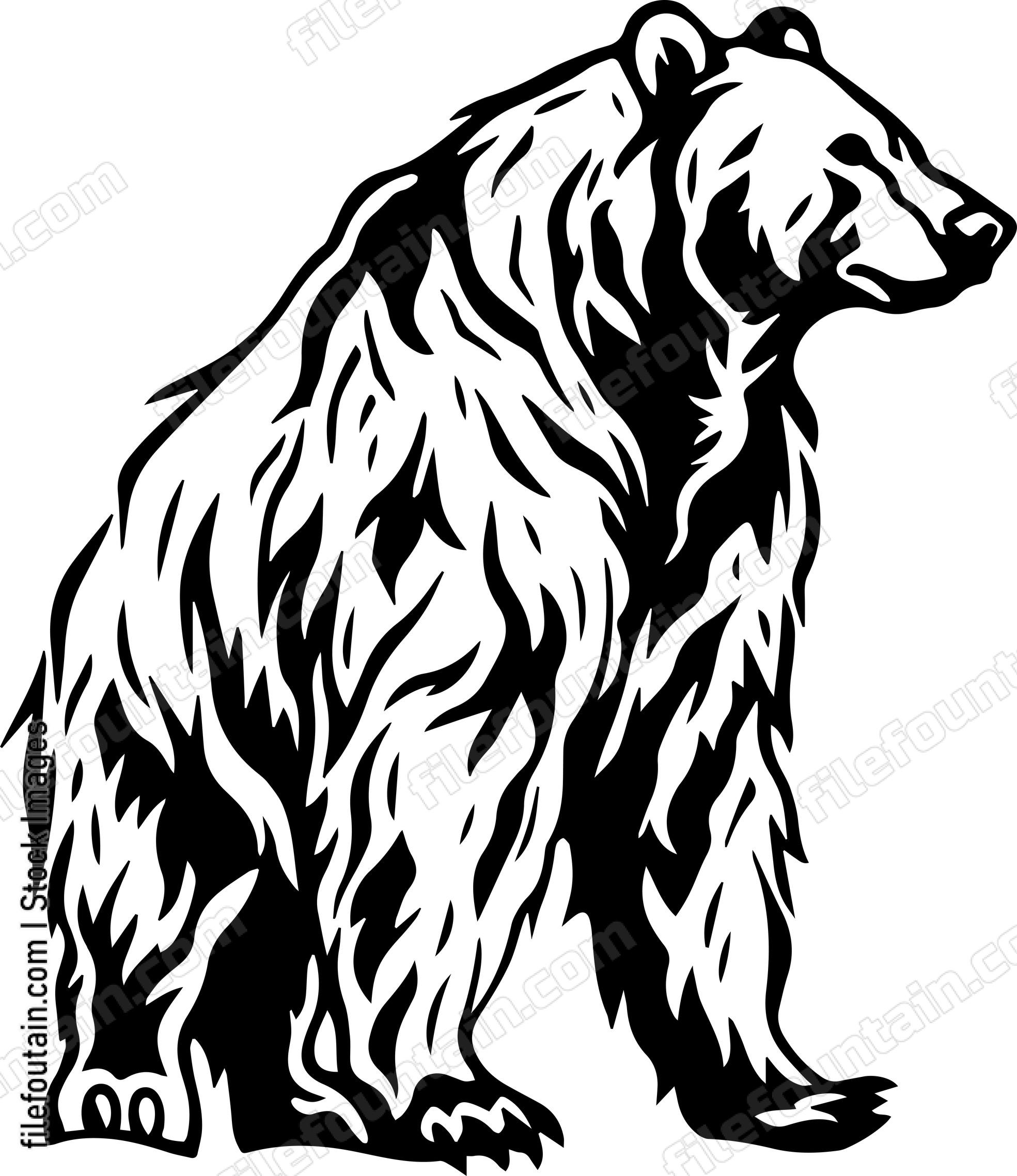 Grizzly Bear