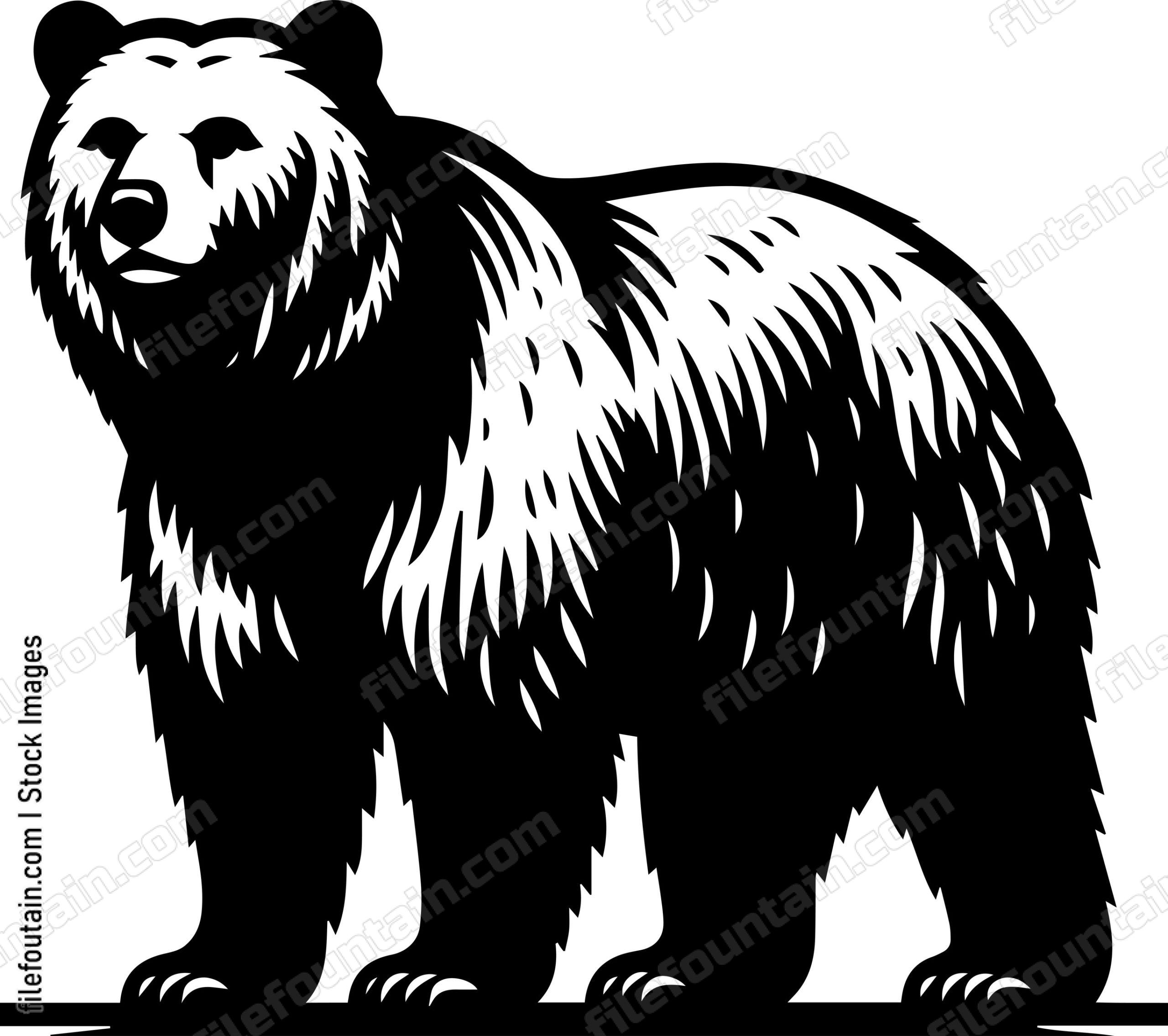 Grizzly Bear
