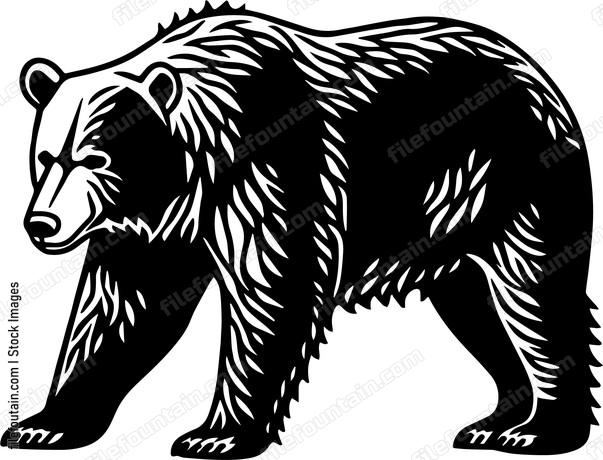 Grizzly Bear