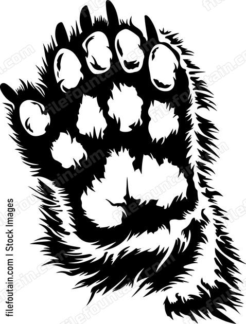 Grizzly Front Paw