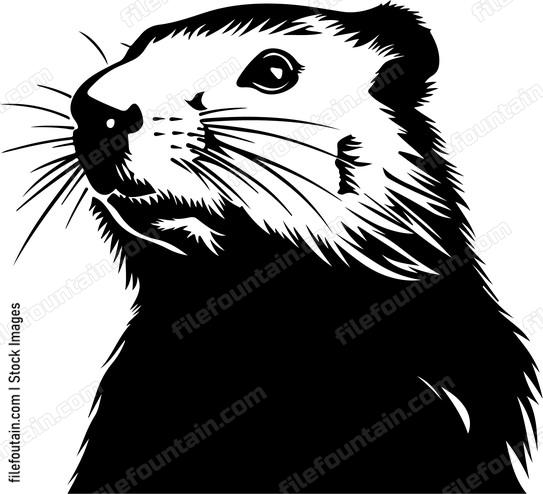Groundhog