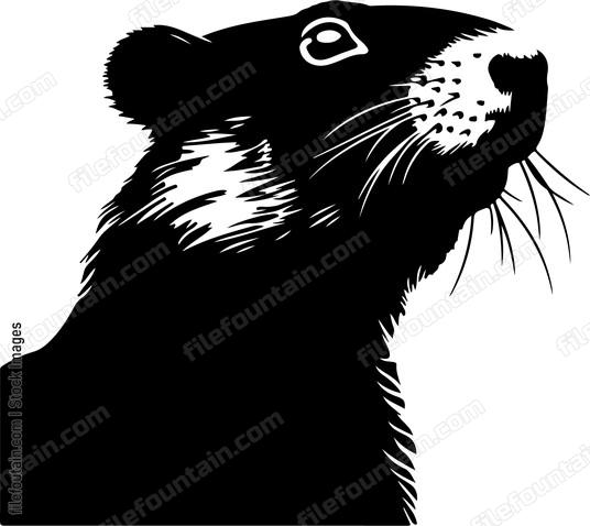 Groundhog