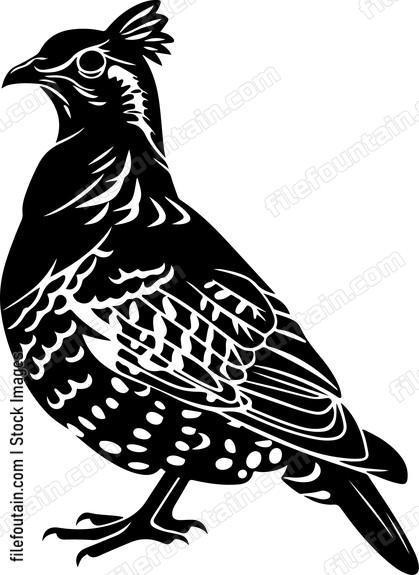 Grouse