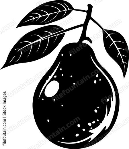 Guava Fruit