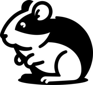 Hamster