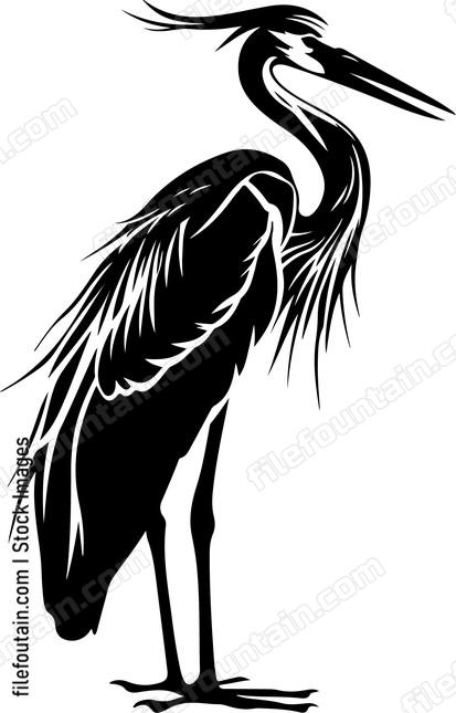 Heron Stork