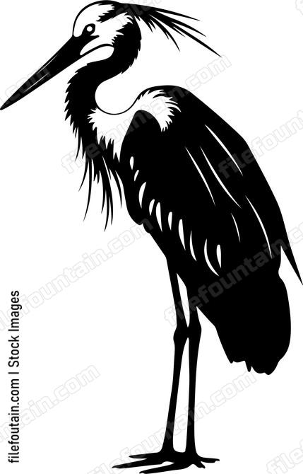 Heron Stork