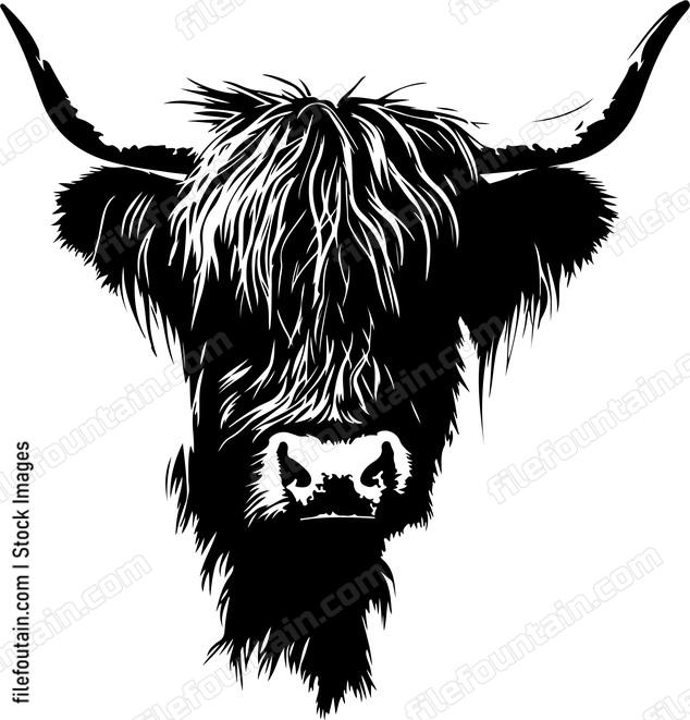 Highland Cow
