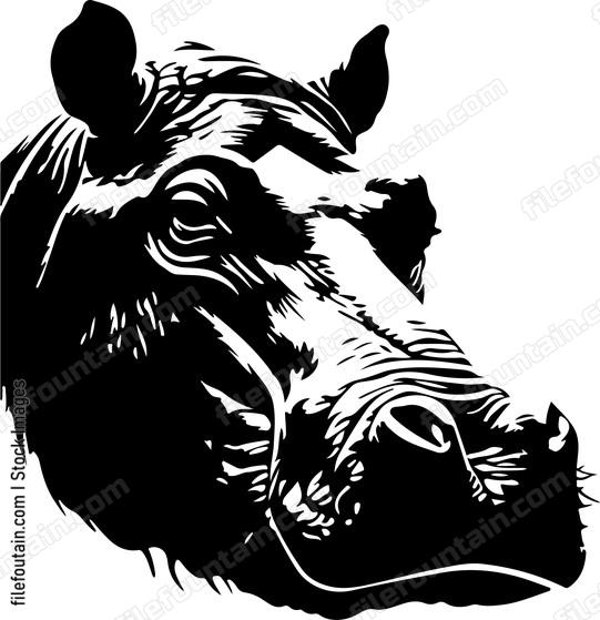 Hippo Eye