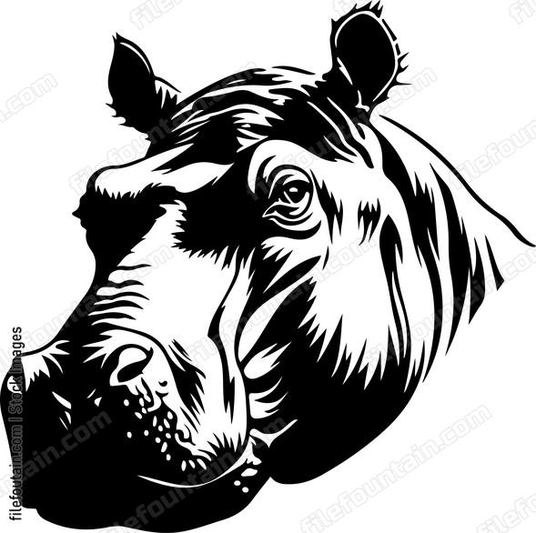 Hippo Eye