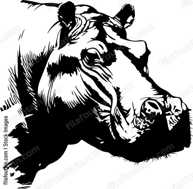 Hippo Head