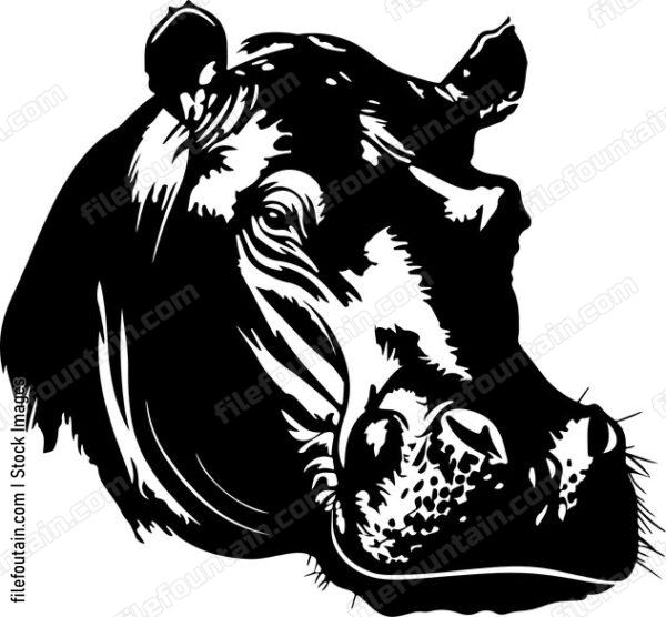 Hippo Head