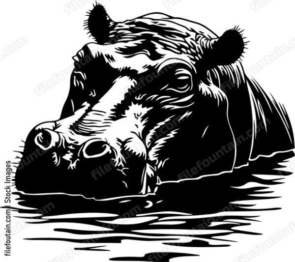 Hippo Under Water
