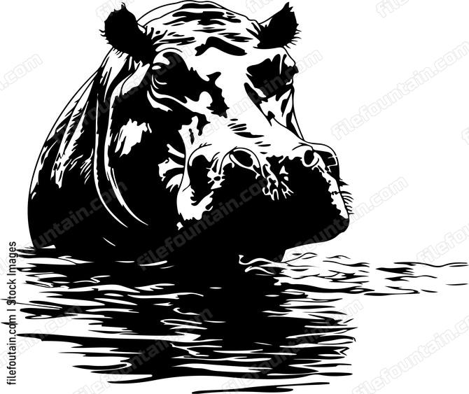Hippo Under Water