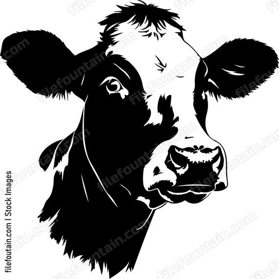 Holstein Cow