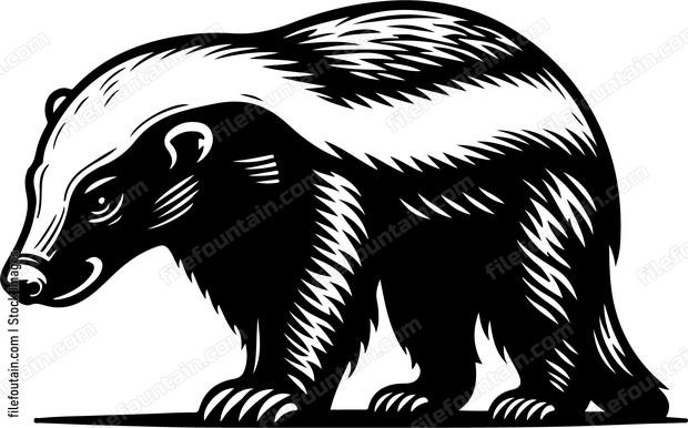 Honey Badger