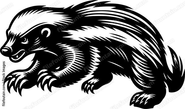 Honey Badger