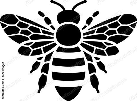 Honey Bee