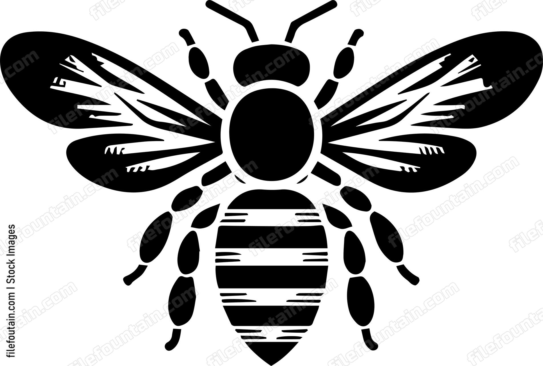 Honey Bee