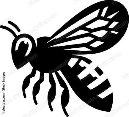 Honey Bee