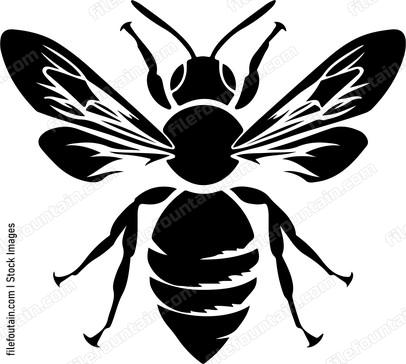 Honey bee