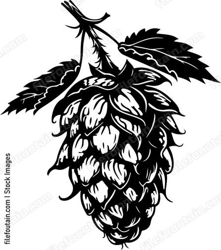 Hop Cone