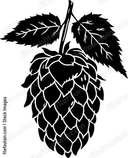 Hop Cone