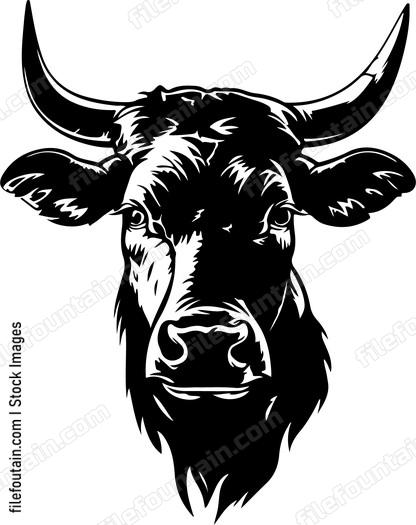 Horned Bulll Staring