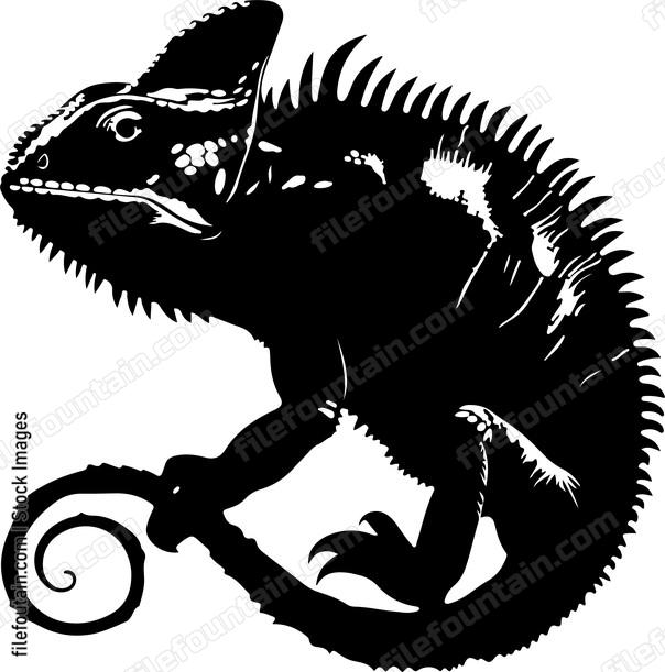 Horned Chameleon