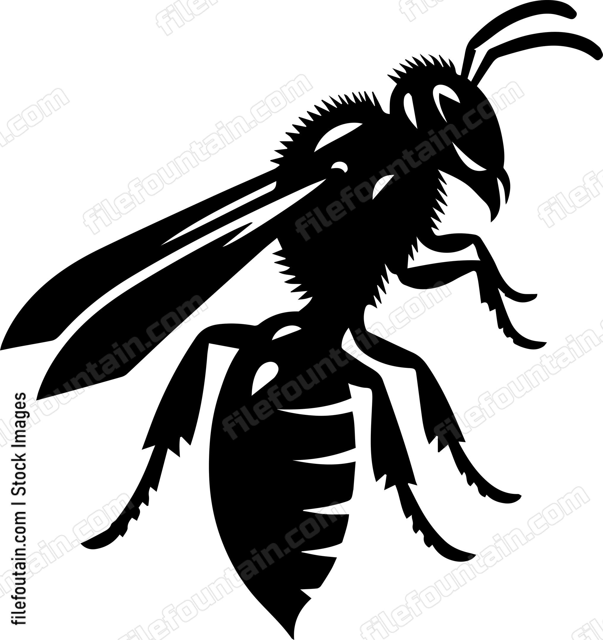 Hornet