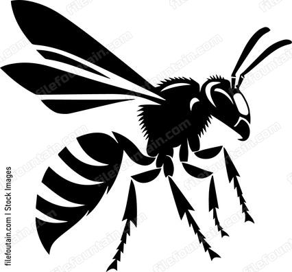 Hornet