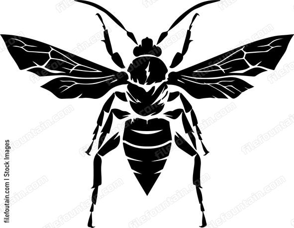 Hornet