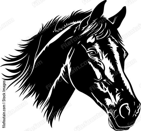 Horse Face