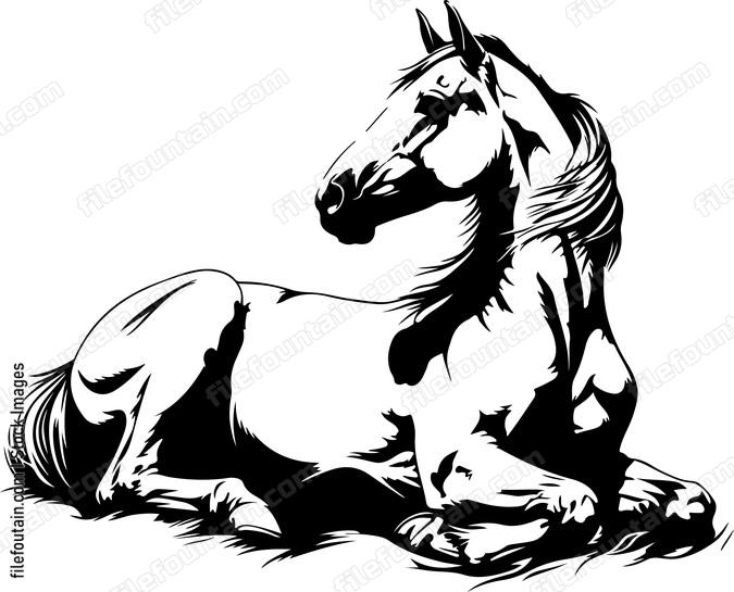 Horse Lying Down